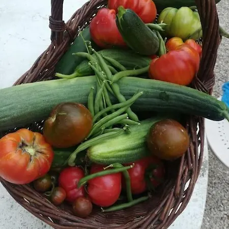 Apartamento Maison De Village Avec Jardin